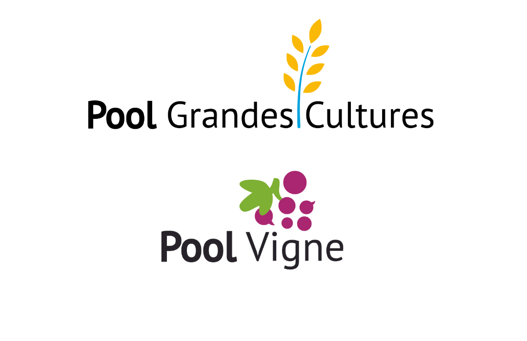 Notre équipe